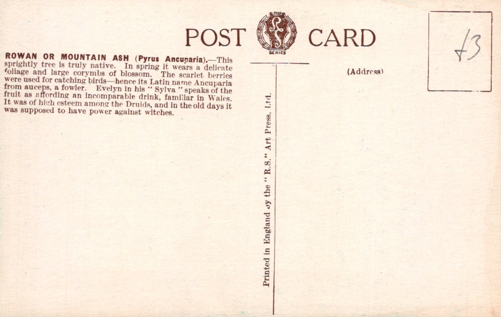 Back of a postcard with text and a logo, featuring a beige background.