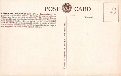 Back of a postcard with text and a logo, featuring a beige background.