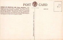 Load image into Gallery viewer, Back of a postcard with text and a logo, featuring a beige background.
