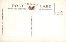 Load image into Gallery viewer, Wales Postcard - Falls of The Mynach, Devil&#39;s Bridge SW19205
