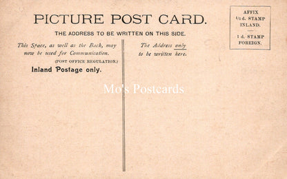Oxfordshire Postcard - Oxford, Cathedral, Western Entrance SW19209