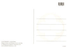 Load image into Gallery viewer, Back cover of a book with text and a barcode on a white background
