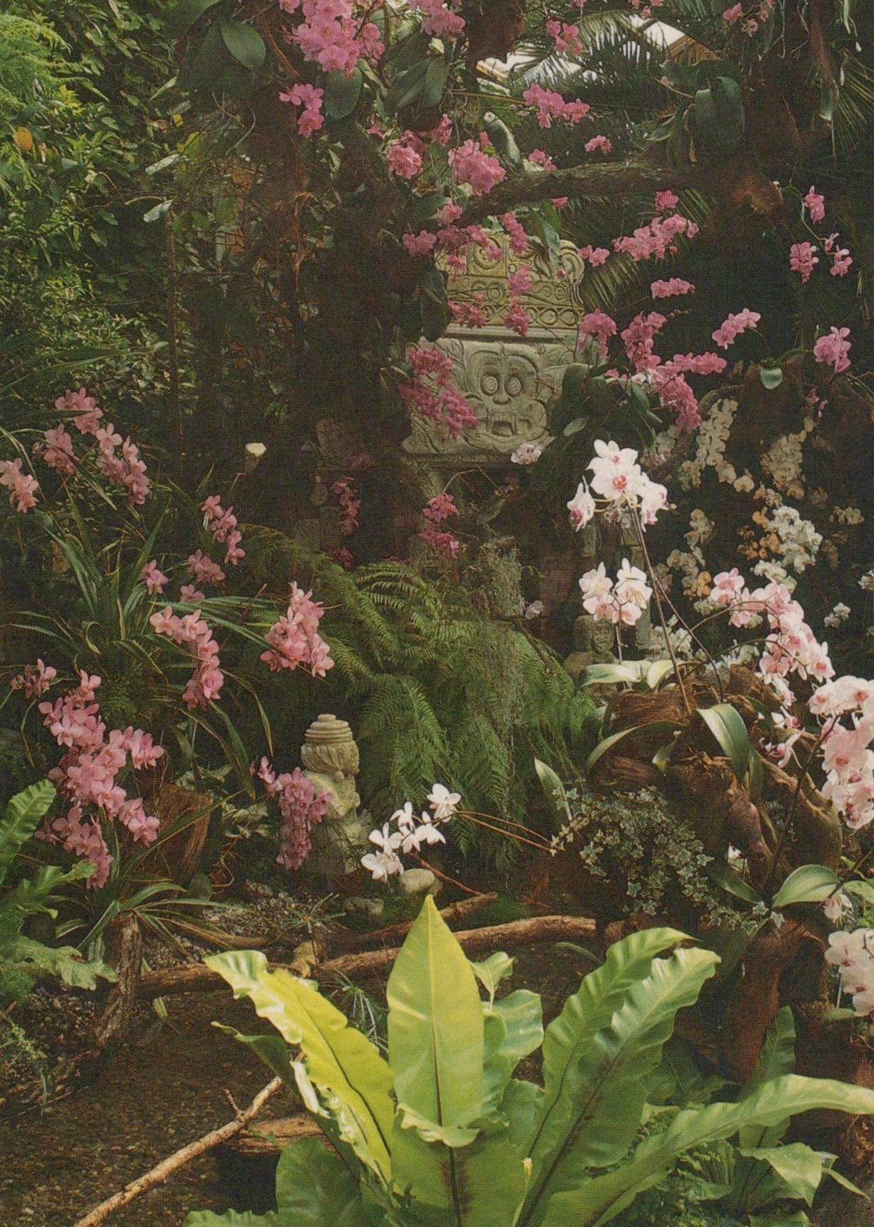 Tropical plants with pink and white flowers in a lush garden setting