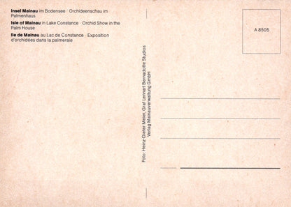 Back of a postcard with text in multiple languages on a beige background