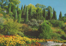 Load image into Gallery viewer, Lush greenery with trees and colorful flowers on a hillside
