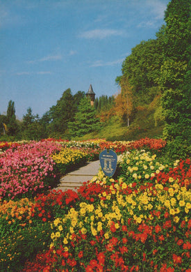 Colorful flower garden with a pathway leading to a scenic view of trees and a tower.