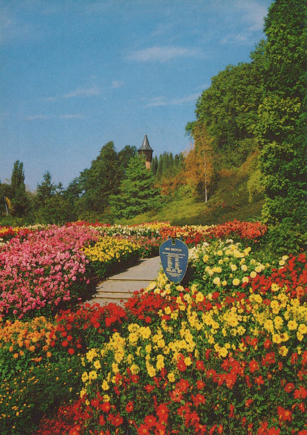 Colorful flower garden with a pathway leading to a scenic view of trees and a tower.