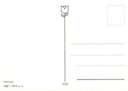 Blank postcard with a tulip design on the top left corner and lined writing area below.