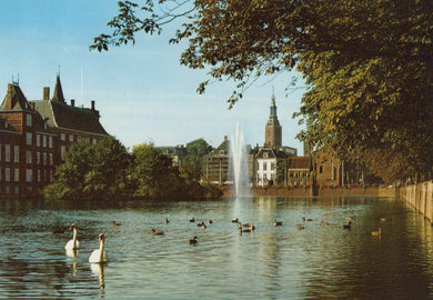 Lake with swans and ducks, surrounded by buildings and trees on a sunny day.