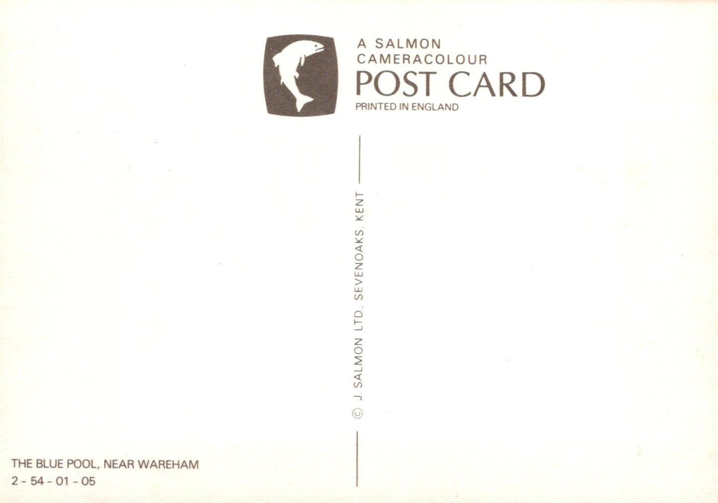 Salmon Cameracolour postcard with branding and text on a white background