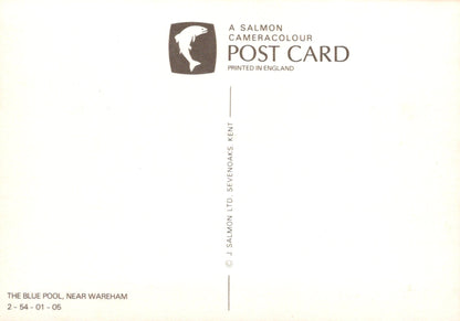 Salmon Cameracolour postcard with branding and text on a white background