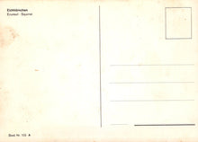 Load image into Gallery viewer, Animals Postcard - Squirrel, Eichhornchen, Ecureuil  VT313
