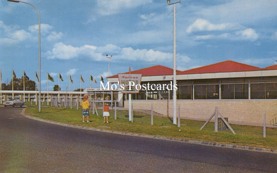 Two children standing on a sidewalk with a building and flags in the background 