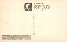 Load image into Gallery viewer, Animals Postcard - Birds, The Oystercatcher   SW19342 
