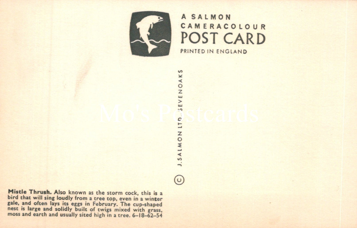 Vintage salmon cameracolour postcard with text and logo on a beige background