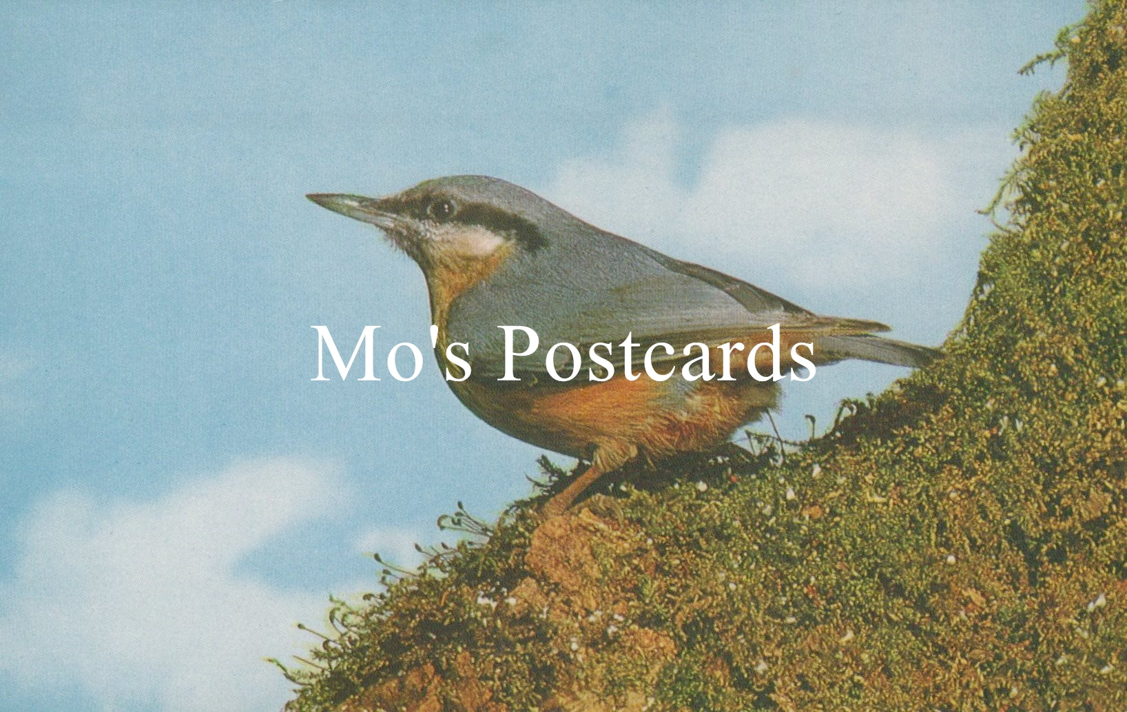 Bird perched on a mossy branch with 'Mo's Postcards' text overlay