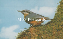 Load image into Gallery viewer, Bird perched on a mossy branch with &#39;Mo&#39;s Postcards&#39; text overlay
