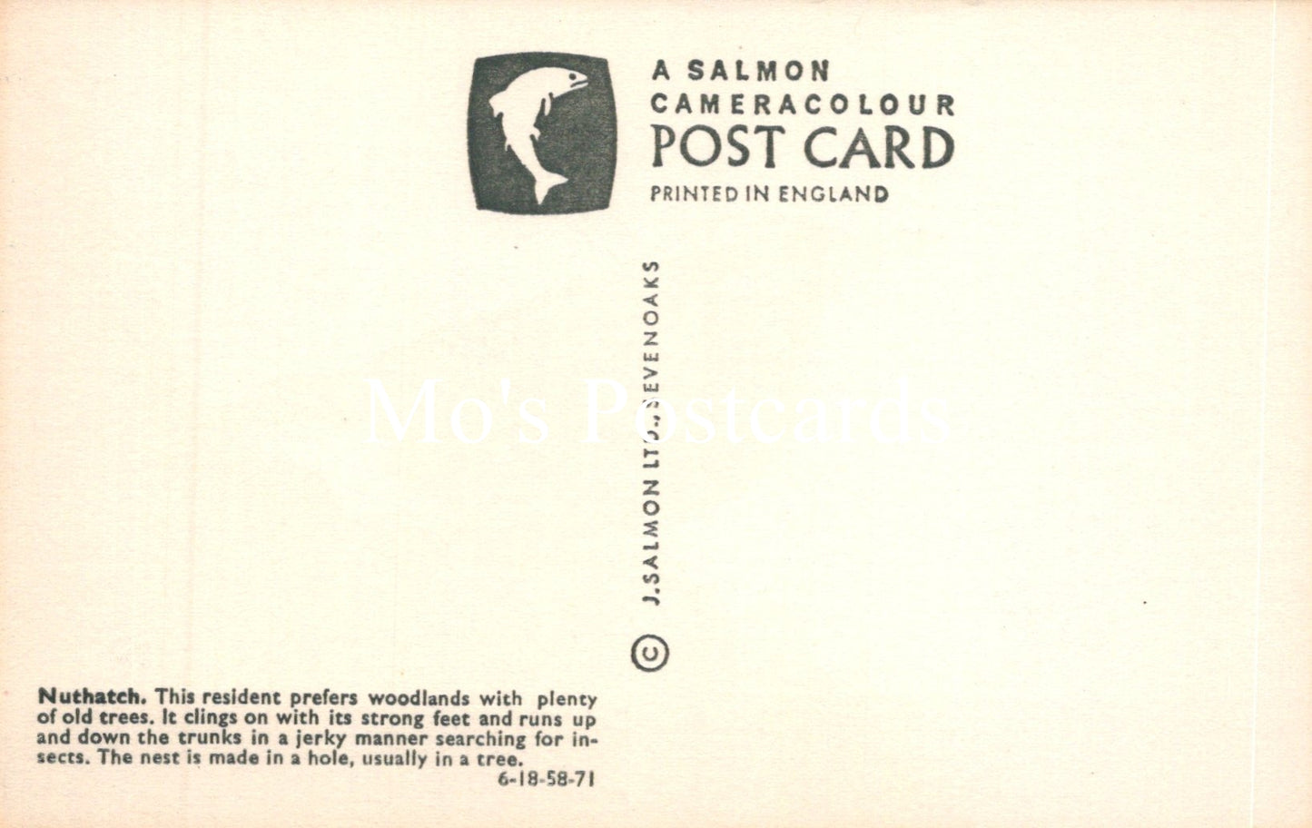 Back of a Salmon Cameracolour postcard with text and logo