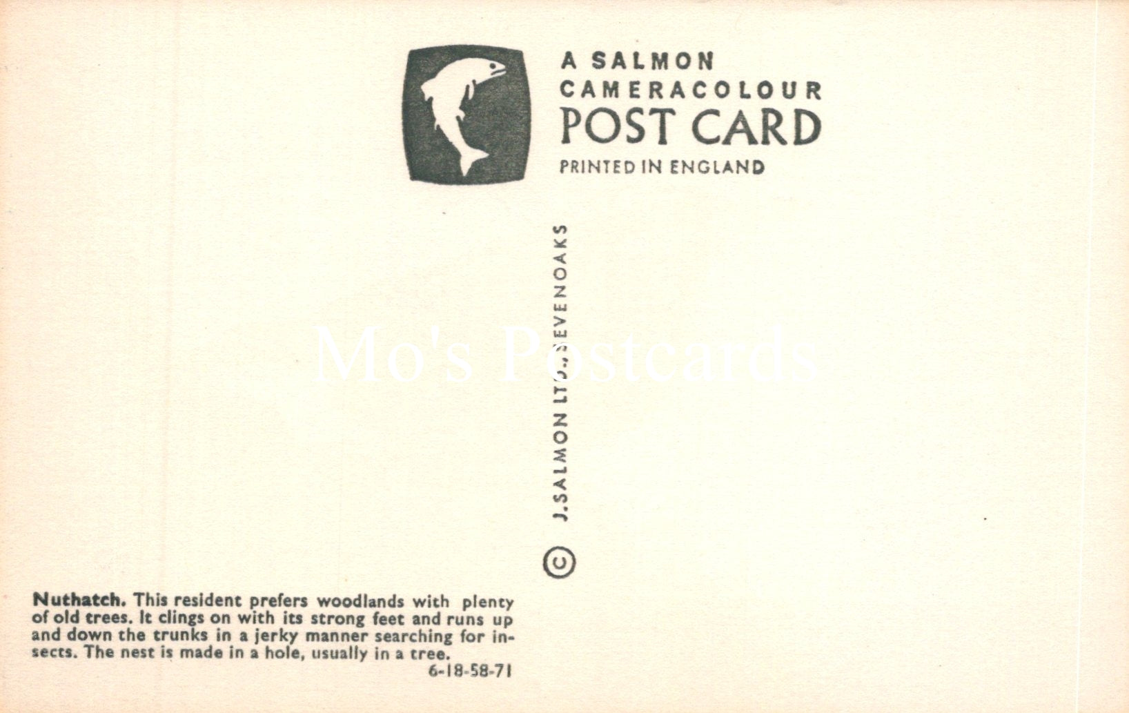 Back of a Salmon Cameracolour postcard with text and logo