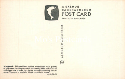 Back of a Salmon Cameracolour postcard with text and logo