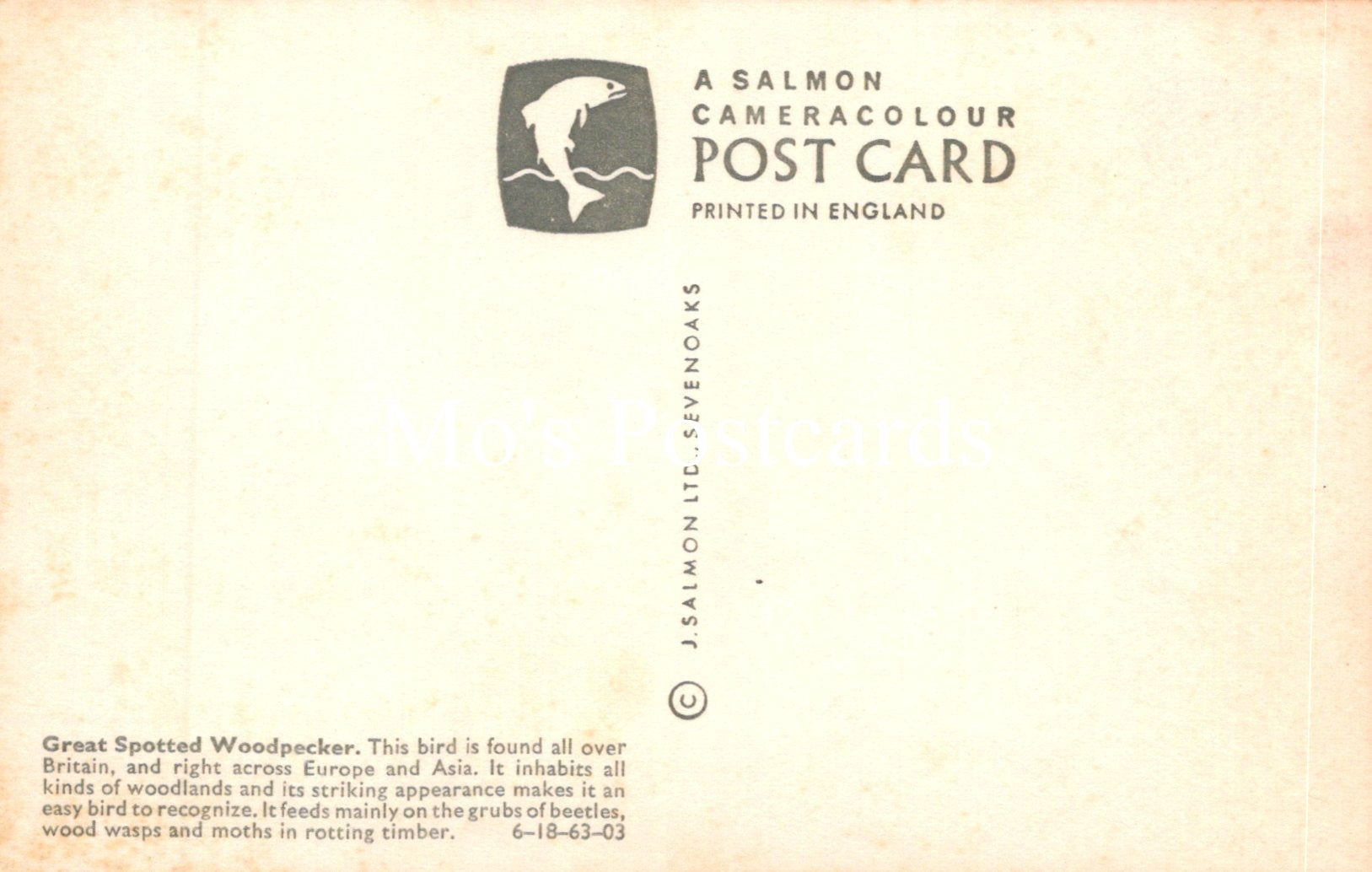 Back of a Salmon cameracolour postcard with text and logo