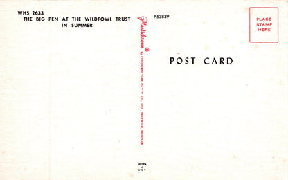 Back of a postcard with text and a stamp area.