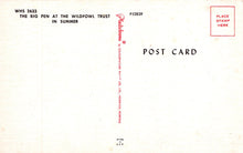 Load image into Gallery viewer, Back of a postcard with text and a stamp area.
