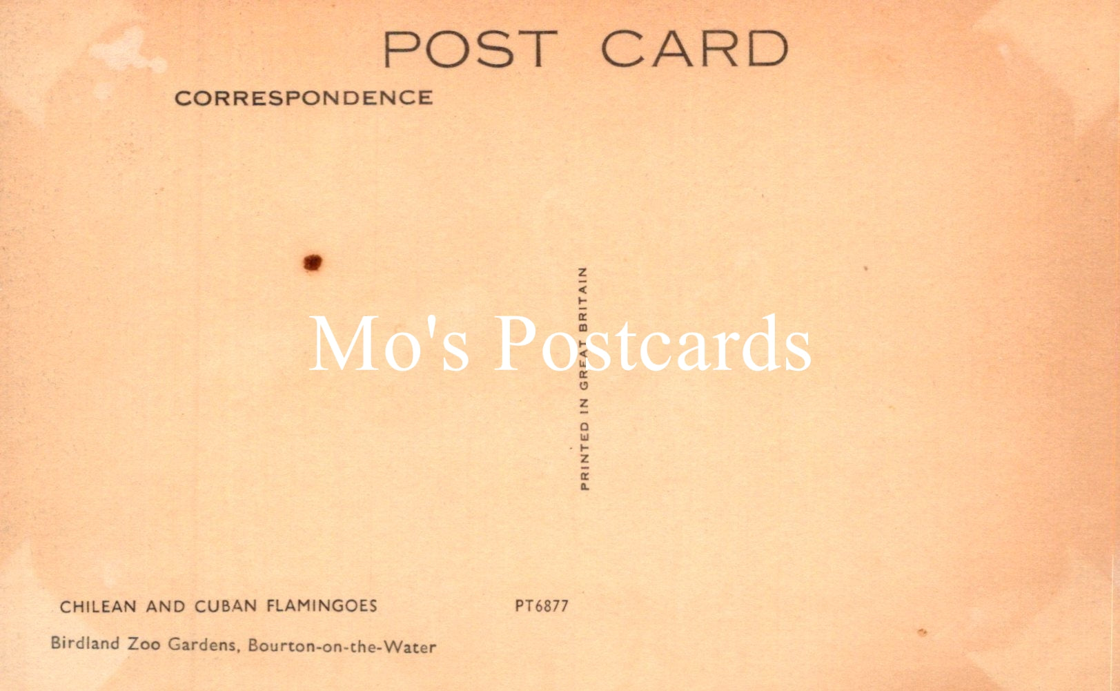 Vintage-style postcard with 'Mo's Postcards' branding on a peach-colored background