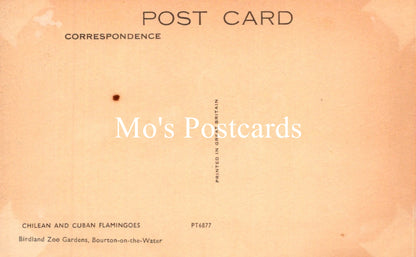 Vintage-style postcard with 'Mo's Postcards' branding on a peach-colored background