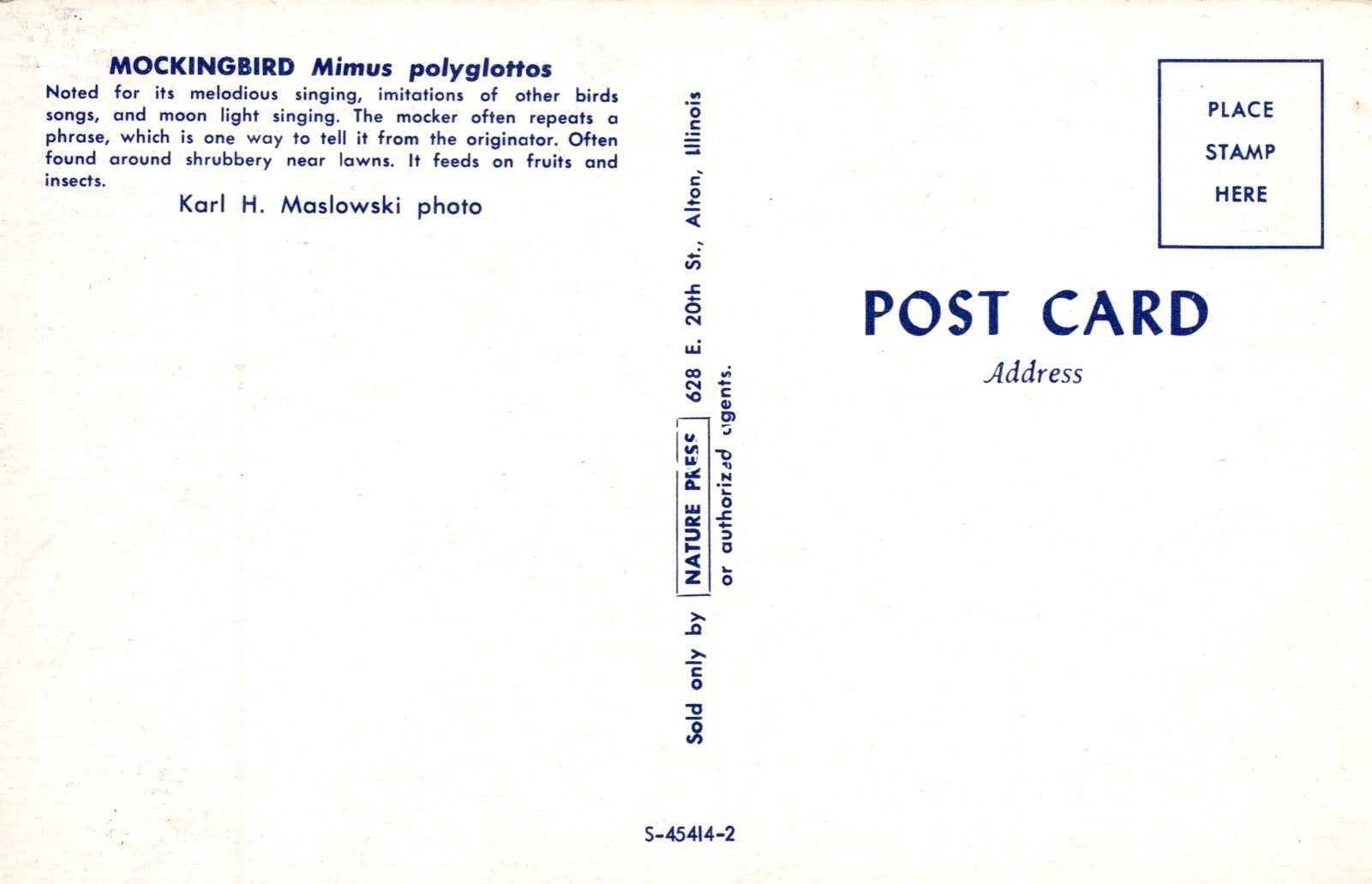 Back of a postcard with text about a mockingbird, a photo credit, and a stamp area.