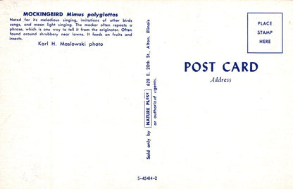 Back of a postcard with text about a mockingbird, a photo credit, and a stamp area.