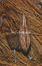 Load image into Gallery viewer, Illustration of a bird on straw with &#39;Mo&#39;s Postcards&#39; text

