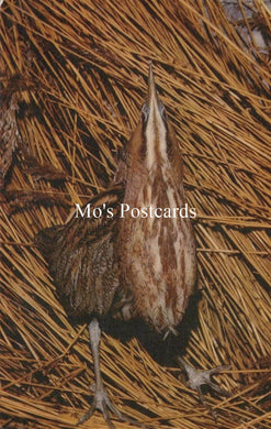 Illustration of a bird on straw with 'Mo's Postcards' text