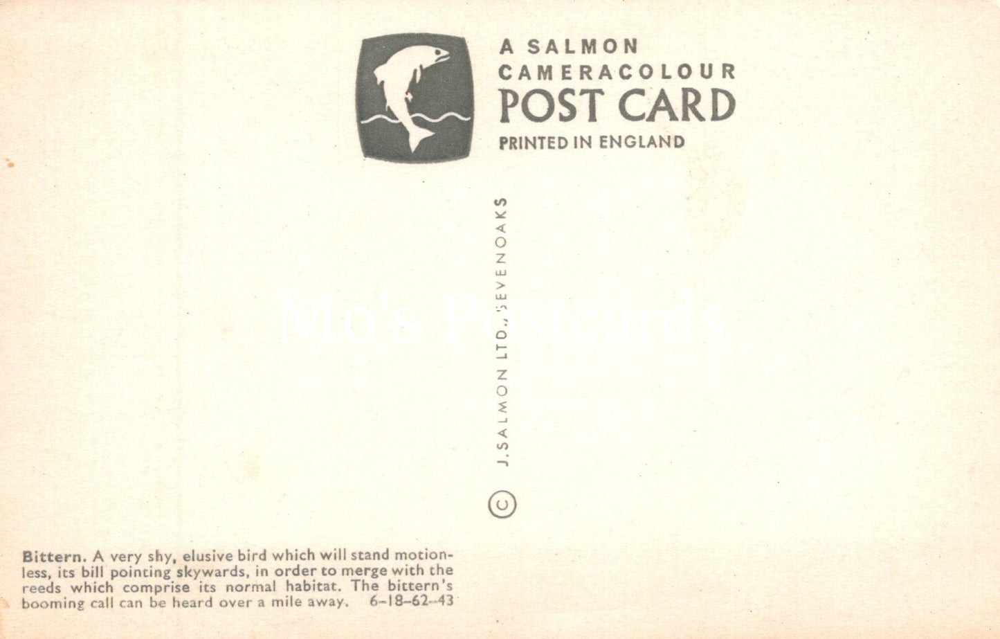 Vintage salmon cameracolour postcard with text and logo on a beige background