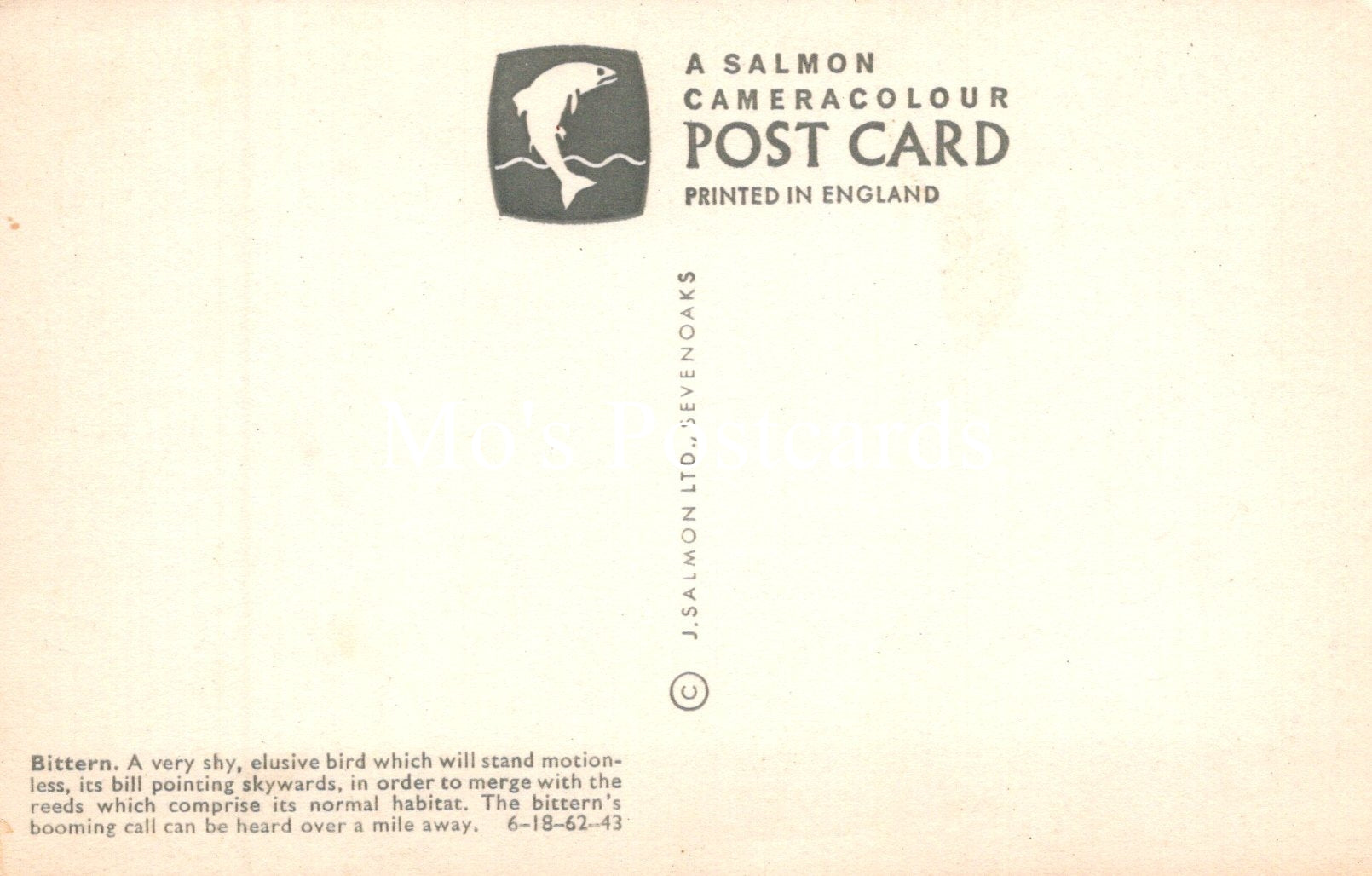 Vintage salmon cameracolour postcard with text and logo on a beige background