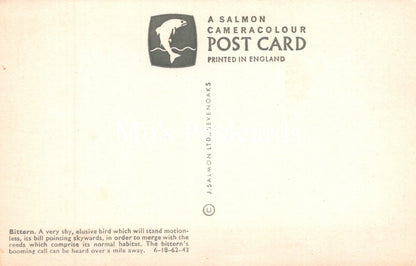 Vintage salmon cameracolour postcard with text and logo on a beige background