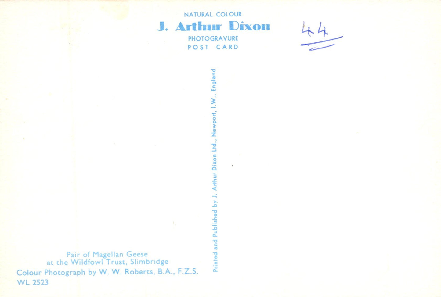 Back of a postcard with text and a signature, featuring the brand 'J. Arthur Dixon'.