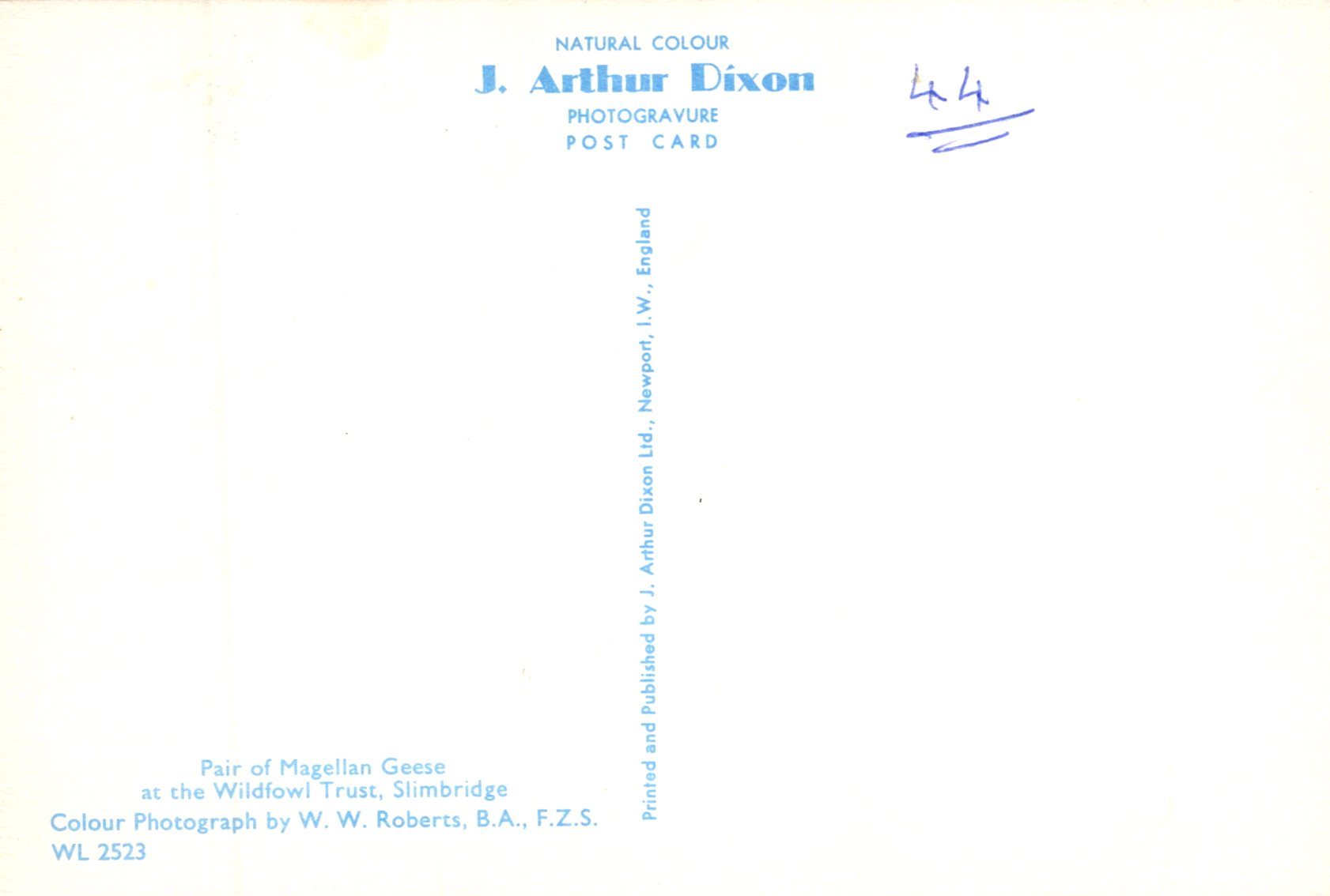 Back of a postcard with text and a signature, featuring the brand 'J. Arthur Dixon'.