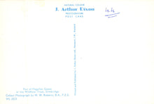 Load image into Gallery viewer, Back of a postcard with text and a signature, featuring the brand &#39;J. Arthur Dixon&#39;.
