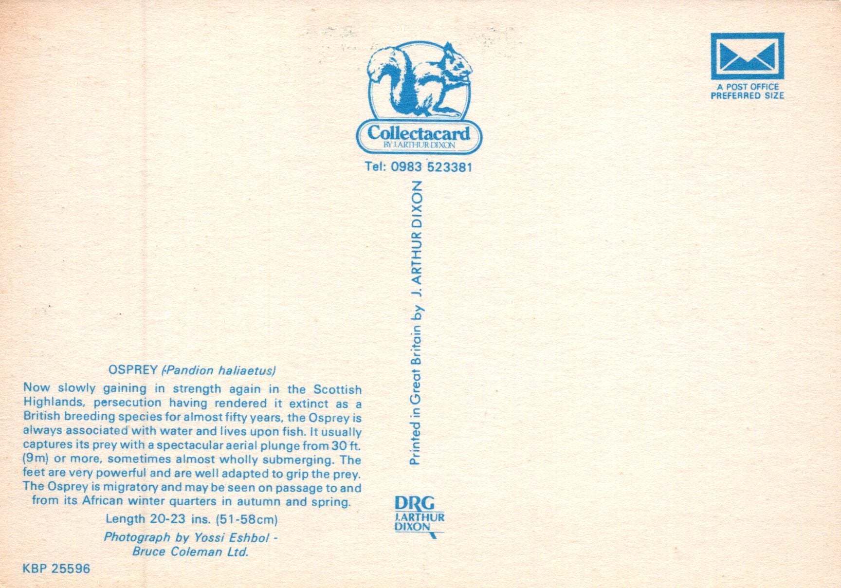 Collectacard illustration of an Osprey with branding and contact information on a beige background