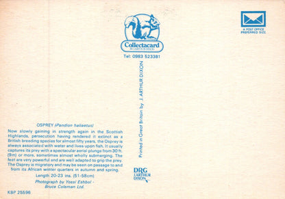 Collectacard illustration of an Osprey with branding and contact information on a beige background