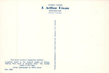 Load image into Gallery viewer, Animals Postcard - Birds, Red-Faced Lovebird   VT338
