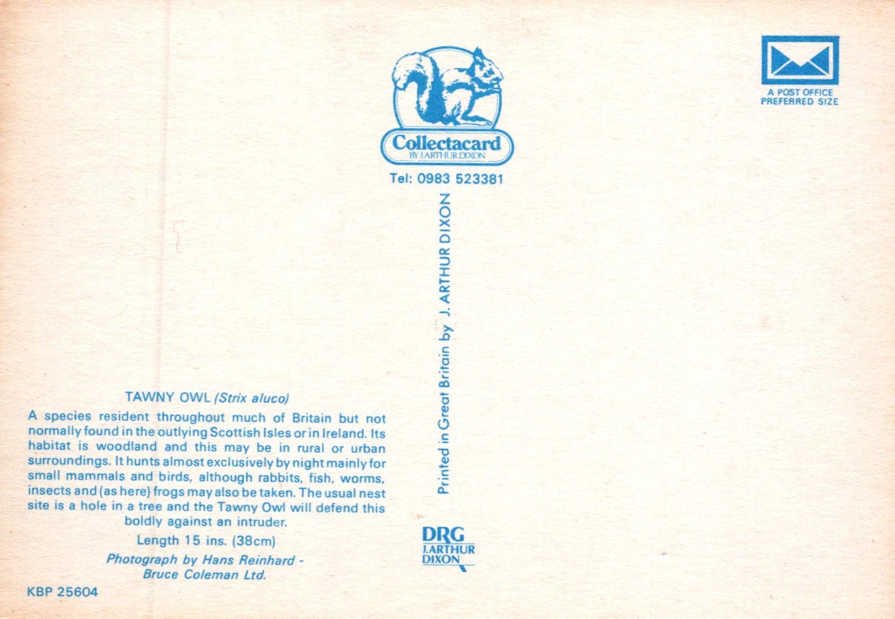 Collectacard with Tawny Owl information and branding on a beige background