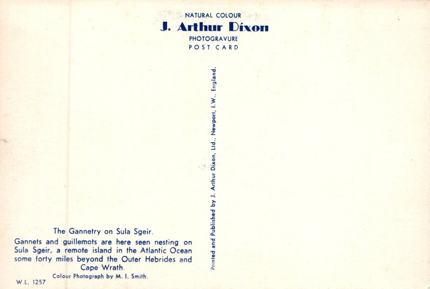 Back of a postcard with text about Gannets on Sula Sgeir, featuring J. Arthur Dixon's branding.