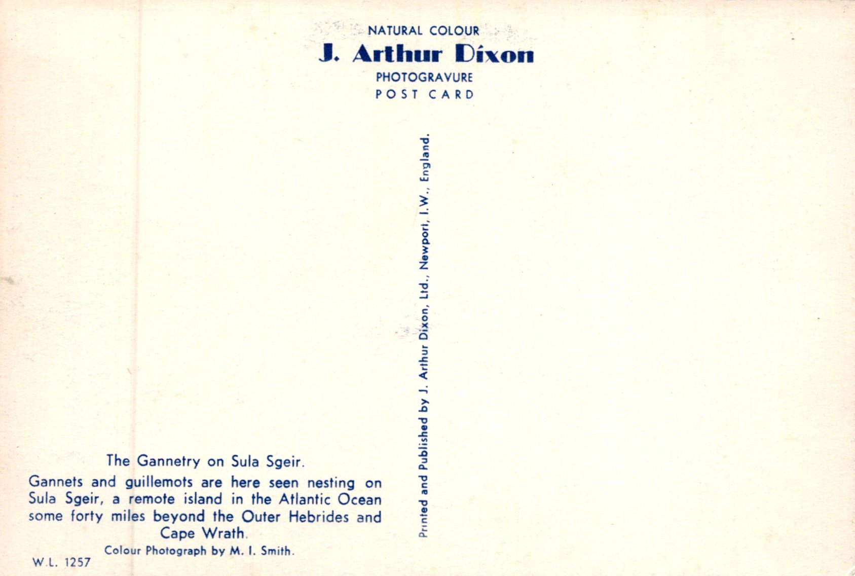 Back of a postcard with text about Gannets on Sula Sgeir, featuring J. Arthur Dixon's branding.