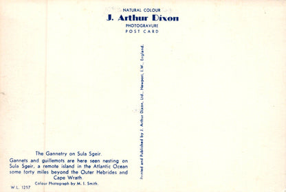 Back of a postcard with text about Gannets on Sula Sgeir, featuring J. Arthur Dixon's branding.