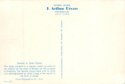 Vintage postcard with text and a color swatch on a white background