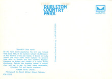 Load image into Gallery viewer, Back cover of a book or document with text and a logo, featuring &#39;Durlston Country Park&#39; on a white background.
