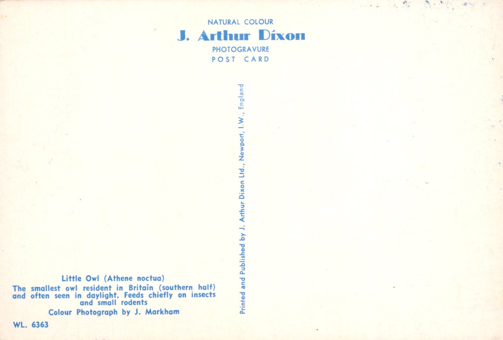 Back of a postcard with text about J. Arthur Dixon and a small owl illustration.