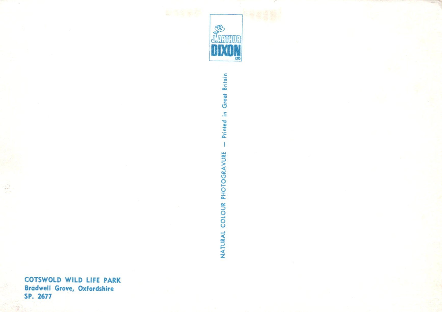 White paper with blue text and 'Dixon' logo on a white background